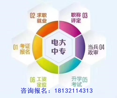 电大中专选择专业有什么要求